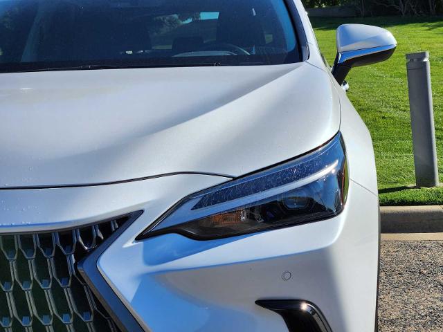 2024 Lexus NX 250 Vehicle Photo in FORT WORTH, TX 76132