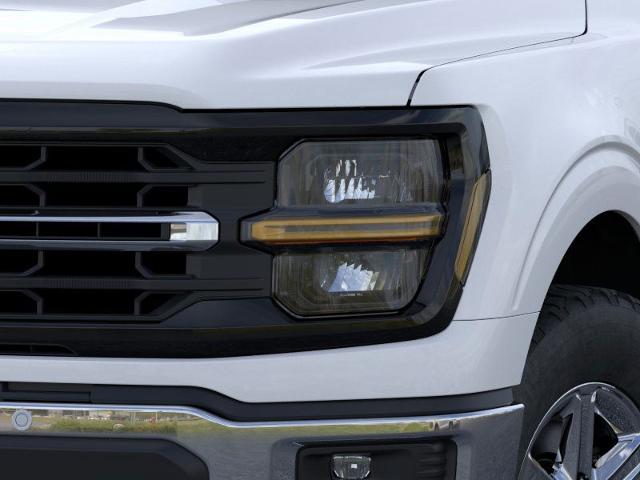 2025 Ford F-150 Vehicle Photo in Winslow, AZ 86047-2439