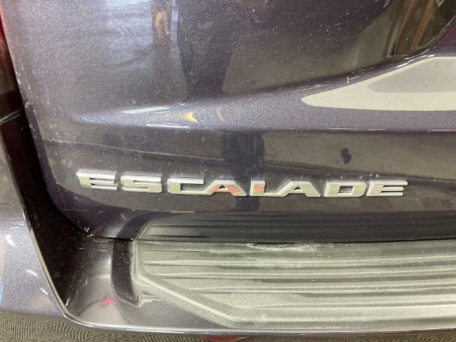 2022 Cadillac Escalade Vehicle Photo in ALLIANCE, OH 44601-4622