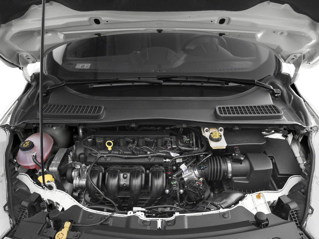 2017 Ford Escape Vehicle Photo in San Antonio, TX 78230