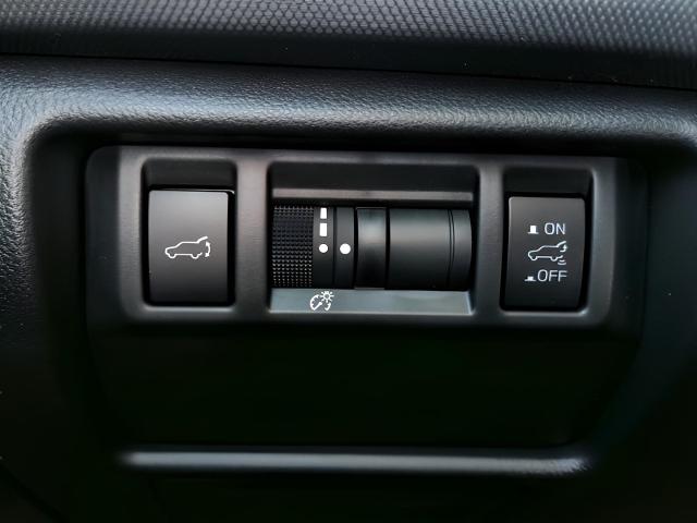 2025 Subaru Forester Vehicle Photo in Green Bay, WI 54304