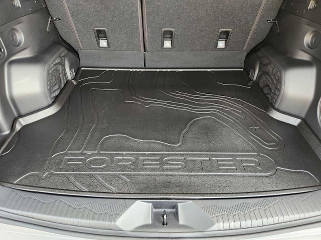 2025 Subaru Forester Vehicle Photo in DALLAS, TX 75209