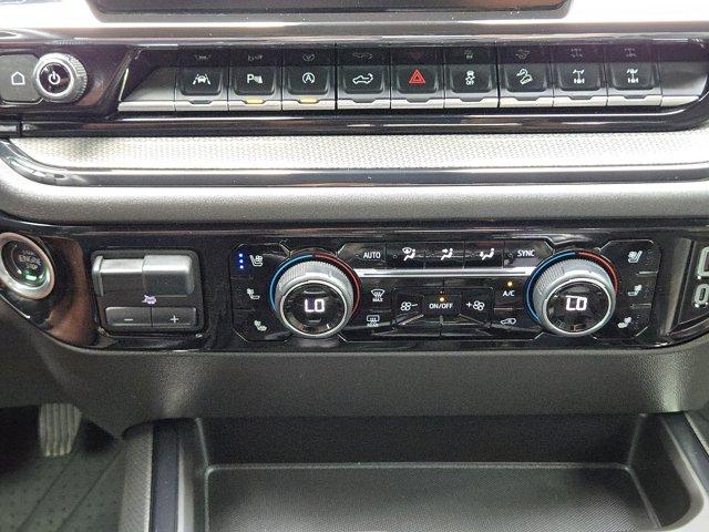 2024 Chevrolet Silverado 1500 Vehicle Photo in Decatur, TX 76234