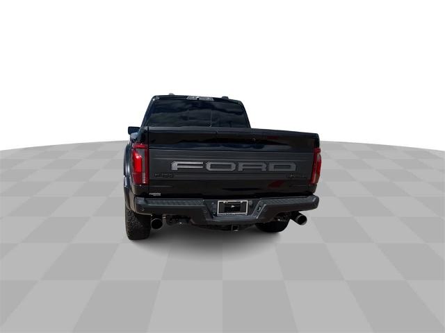 2024 Ford F-150 Vehicle Photo in Greenville, TX 75402