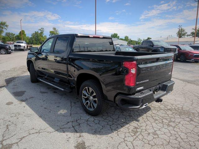 2025 Chevrolet Silverado 1500 Vehicle Photo in WEST FRANKFORT, IL 62896-4173