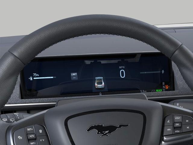 2025 Ford Mustang Mach-E Vehicle Photo in Neenah, WI 54956