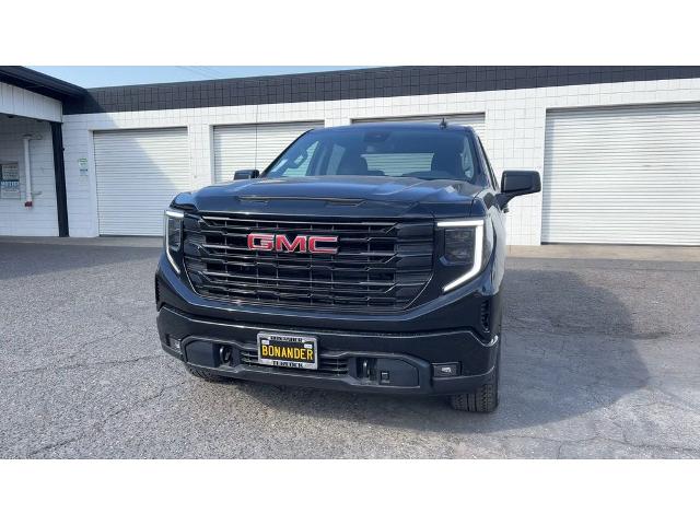 2025 GMC Sierra 1500 Vehicle Photo in TURLOCK, CA 95380-4918