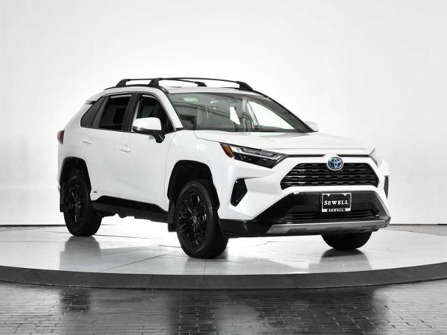 2024 Toyota RAV4 Vehicle Photo in DALLAS, TX 75235