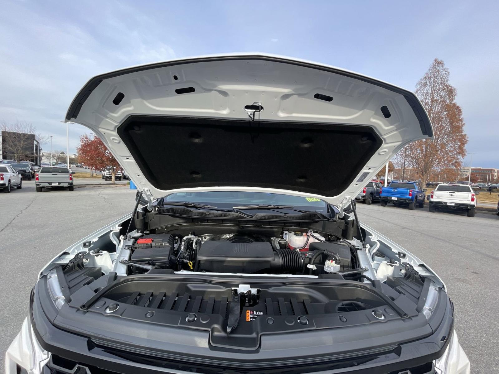 2025 Chevrolet Silverado 1500 Vehicle Photo in BENTONVILLE, AR 72712-4322