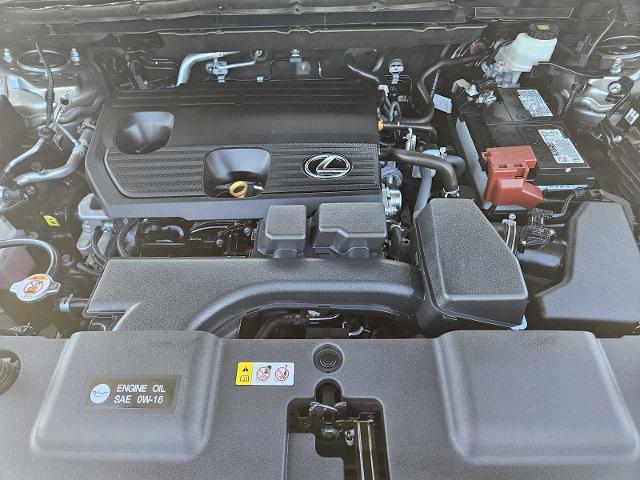 2024 Lexus NX 250 Vehicle Photo in FORT WORTH, TX 76132