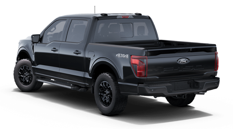 2025 Ford F-150 Vehicle Photo in Green Bay, WI 54304