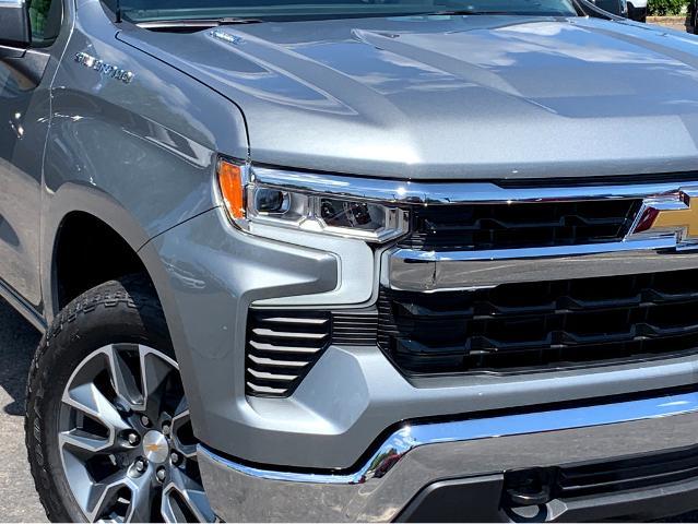 2025 Chevrolet Silverado 1500 Vehicle Photo in BEAUFORT, SC 29906-4218