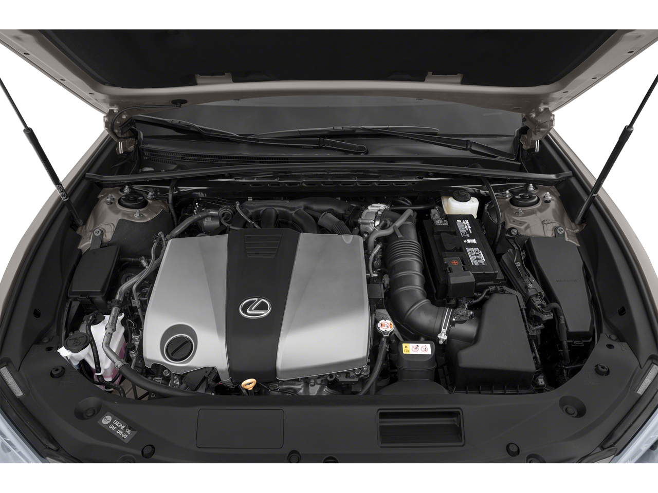 2019 Lexus ES 350 Vehicle Photo in Grapevine, TX 76051