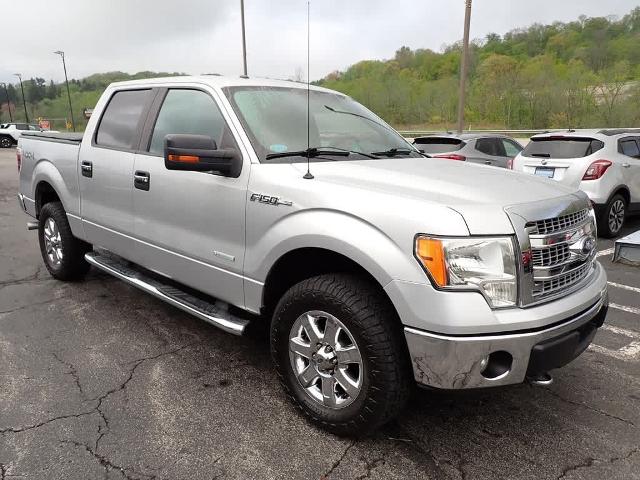 2014 Ford F-150 Vehicle Photo in ZELIENOPLE, PA 16063-2910