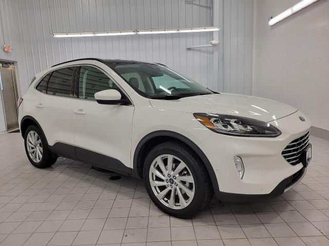 2022 Ford Escape Vehicle Photo in Neenah, WI 54956