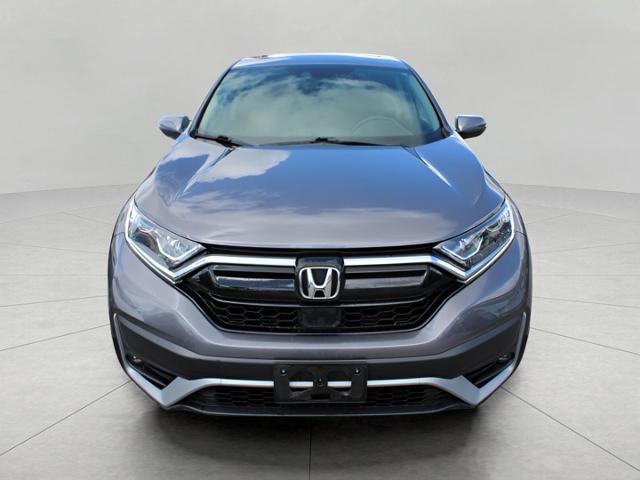 2022 Honda CR-V Vehicle Photo in Green Bay, WI 54304