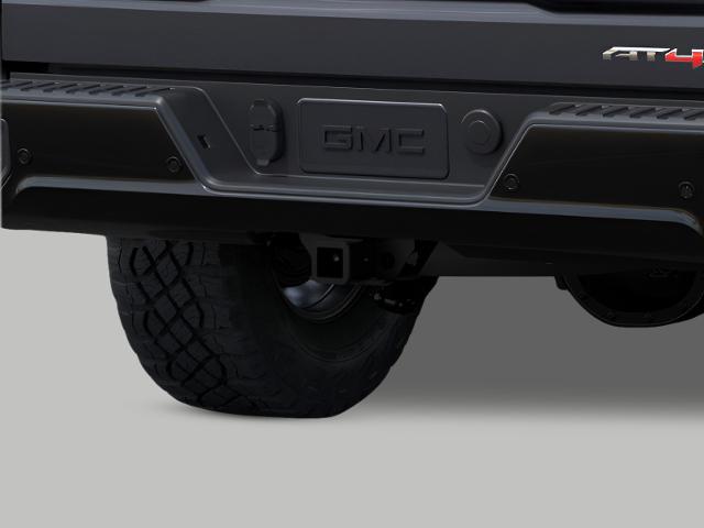 2025 GMC Sierra 1500 Vehicle Photo in APPLETON, WI 54914-8833