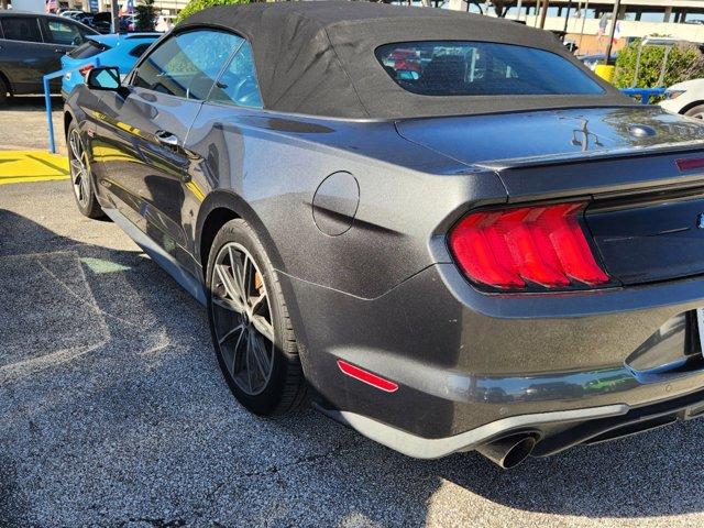 2019 Ford Mustang Vehicle Photo in SUGAR LAND, TX 77478-0000