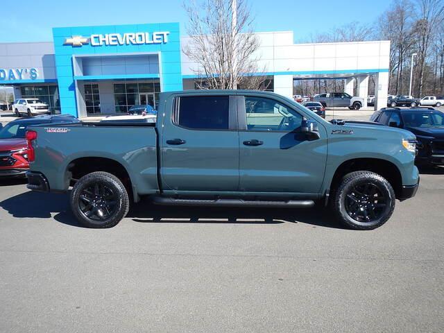 2025 Chevrolet Silverado 1500 Vehicle Photo in JASPER, GA 30143-8655