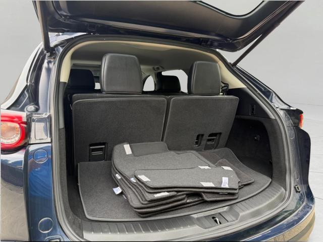 2021 Mazda CX-9 Vehicle Photo in Appleton, WI 54914