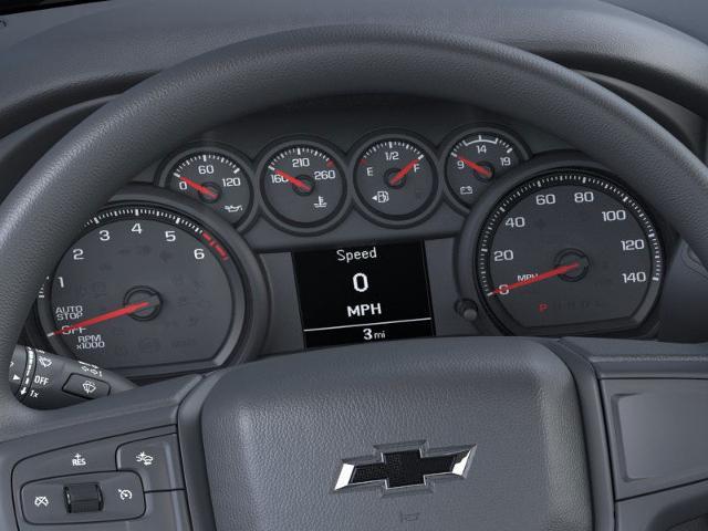 2025 Chevrolet Silverado 1500 Vehicle Photo in MASSENA, NY 13662-2255