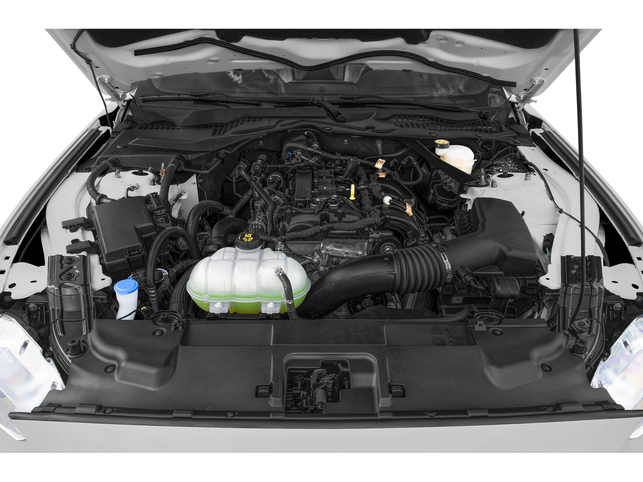 2022 Ford Mustang Vehicle Photo in Green Bay, WI 54304