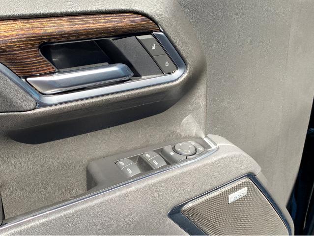 2025 GMC Sierra 1500 Vehicle Photo in BEAUFORT, SC 29906-4218