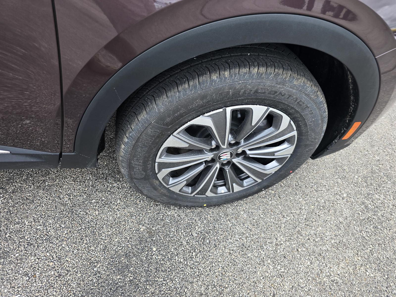 2025 Buick Envision Vehicle Photo in Rolla, MO 65401