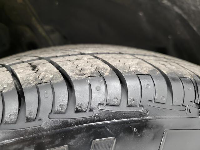 2024 Toyota RAV4 Vehicle Photo in Appleton, WI 54913