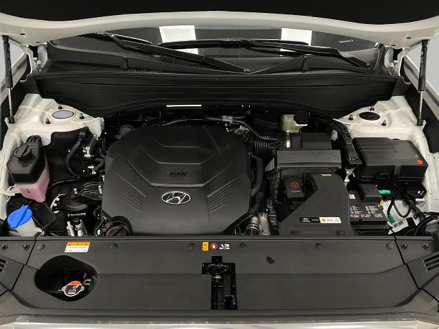 2025 Hyundai PALISADE Vehicle Photo in Appleton, WI 54913