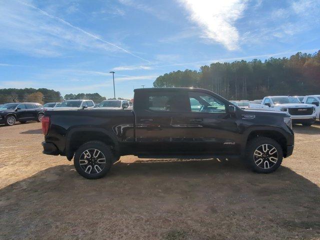 2025 GMC Sierra 1500 Vehicle Photo in ALBERTVILLE, AL 35950-0246