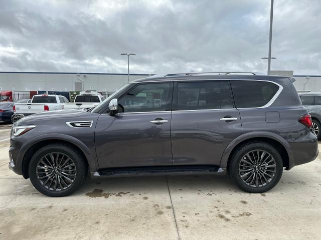 2024 INFINITI QX80 Vehicle Photo in Grapevine, TX 76051