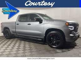 2023 Chevrolet Silverado 1500 Vehicle Photo in PHOENIX, AZ 85014-3381