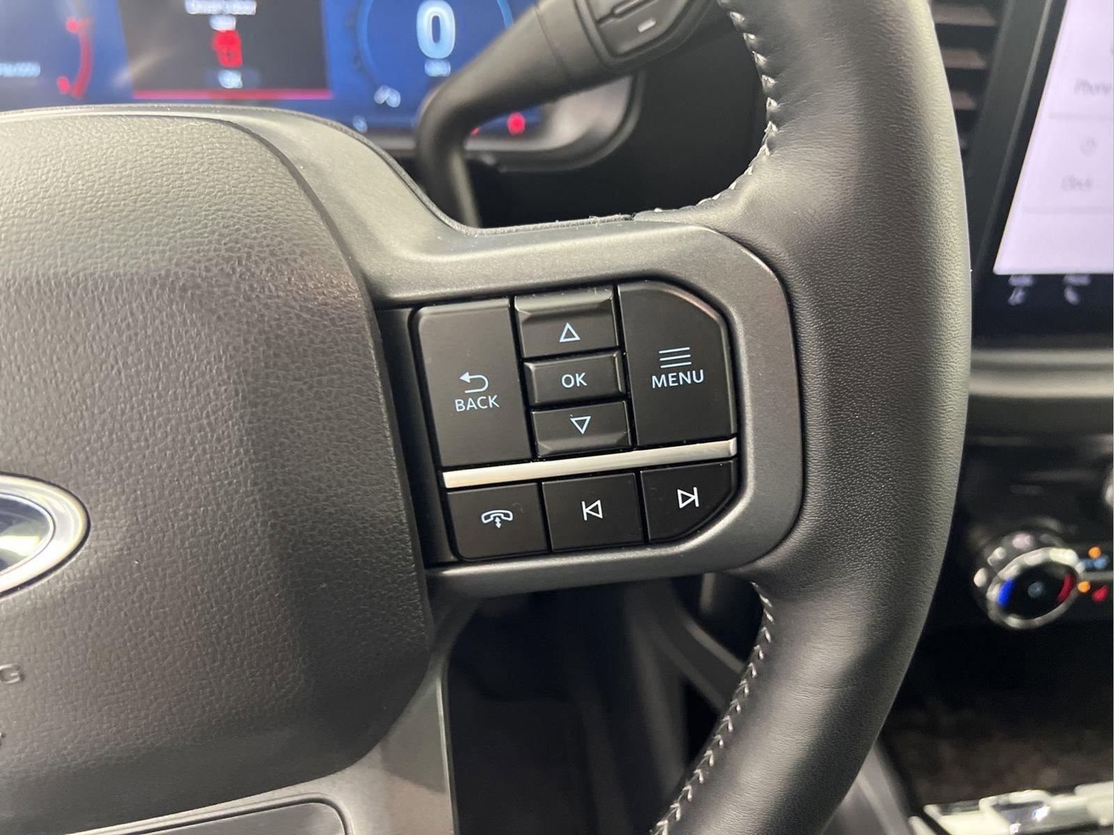 2024 Ford Super Duty F-250 SRW Vehicle Photo in GEORGETOWN, TX 78626-7508