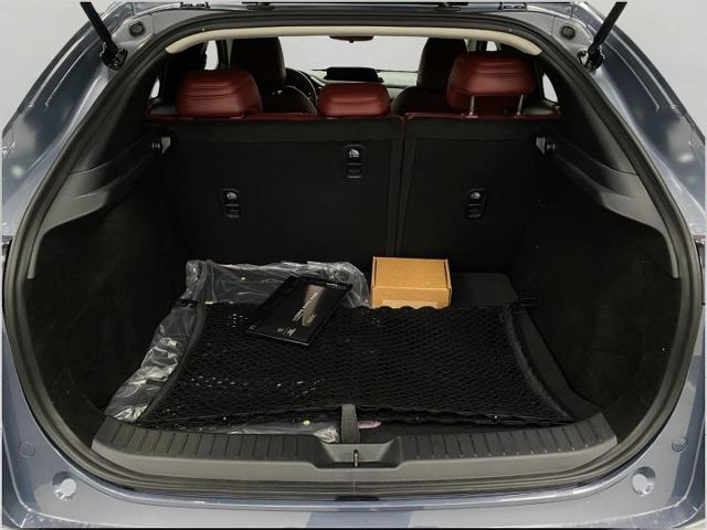 2025 Mazda CX-30 Vehicle Photo in Appleton, WI 54913