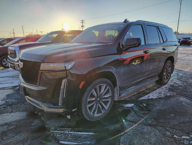 2023 Cadillac Escalade Vehicle Photo in GREEN BAY, WI 54304-5303