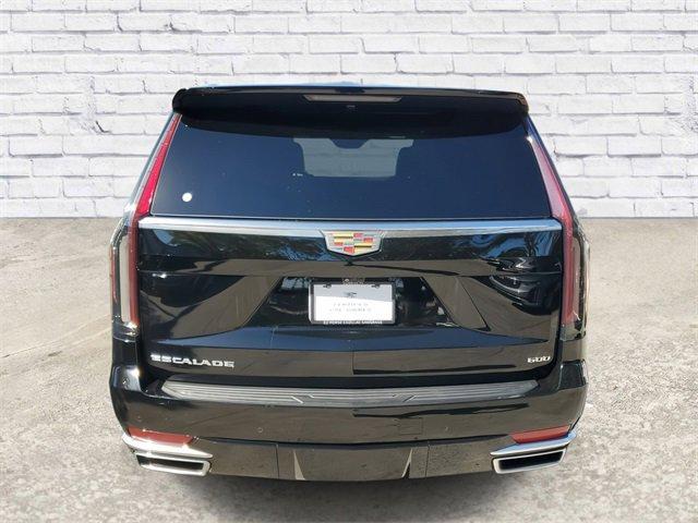 2022 Cadillac Escalade Vehicle Photo in SUNRISE, FL 33323-3202