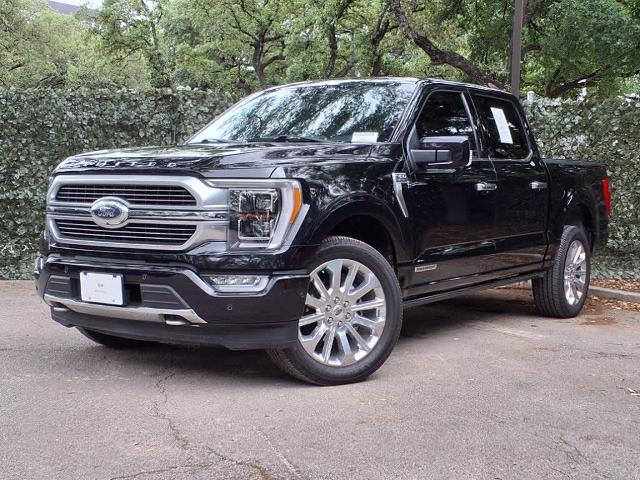2023 Ford F-150 Vehicle Photo in San Antonio, TX 78230-1001
