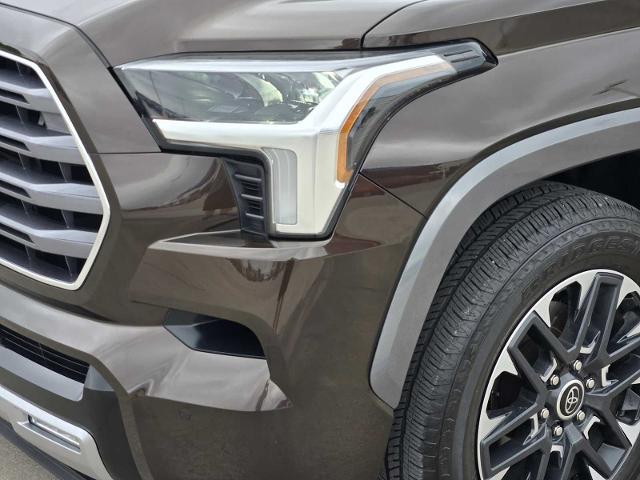 2024 Toyota Sequoia Vehicle Photo in DENTON, TX 76210-9321