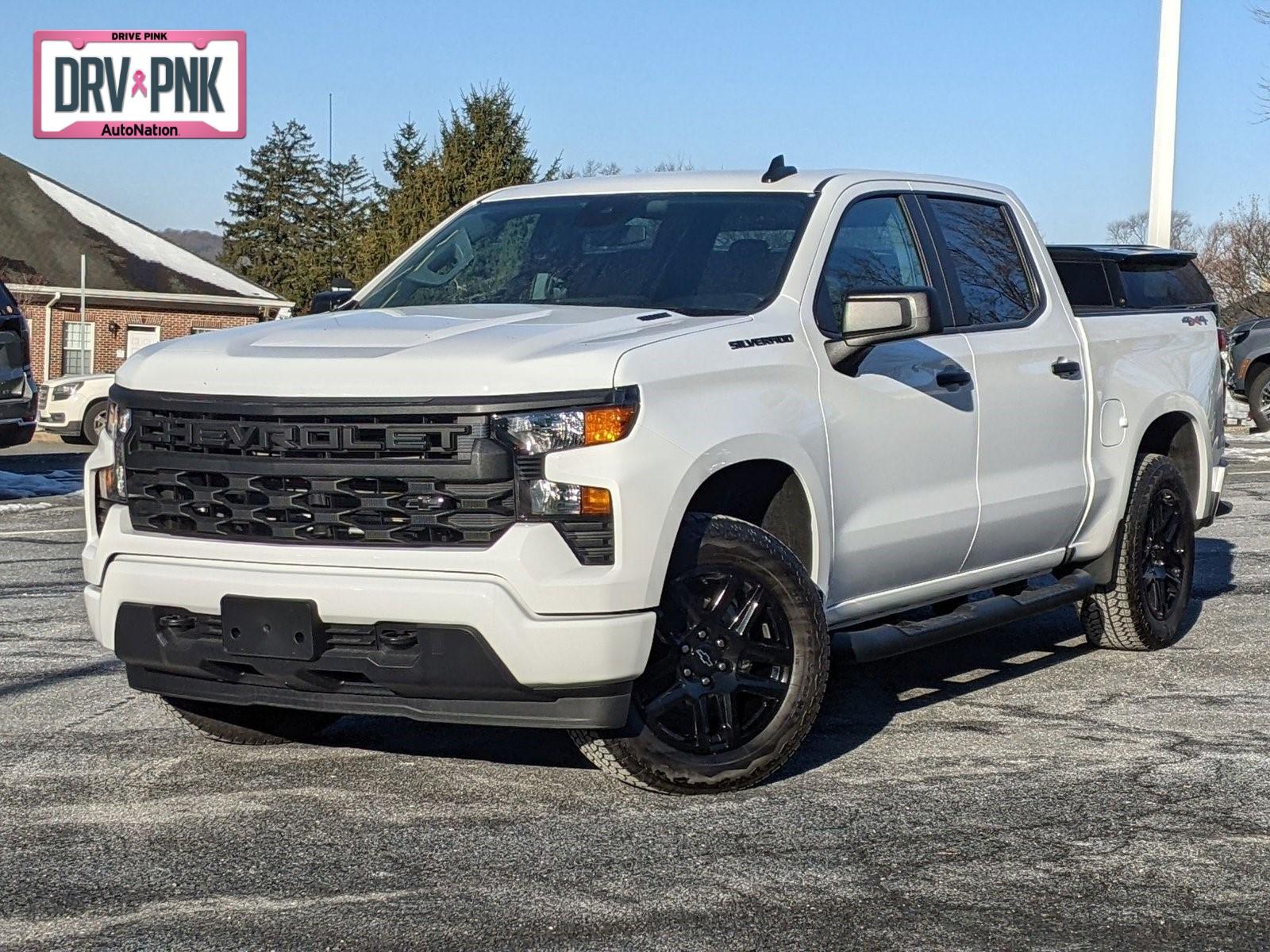 2025 Chevrolet Silverado 1500 Vehicle Photo in TIMONIUM, MD 21093-2300