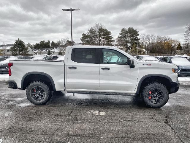 2023 Chevrolet Silverado 1500 Vehicle Photo in WILLIAMSVILLE, NY 14221-2883