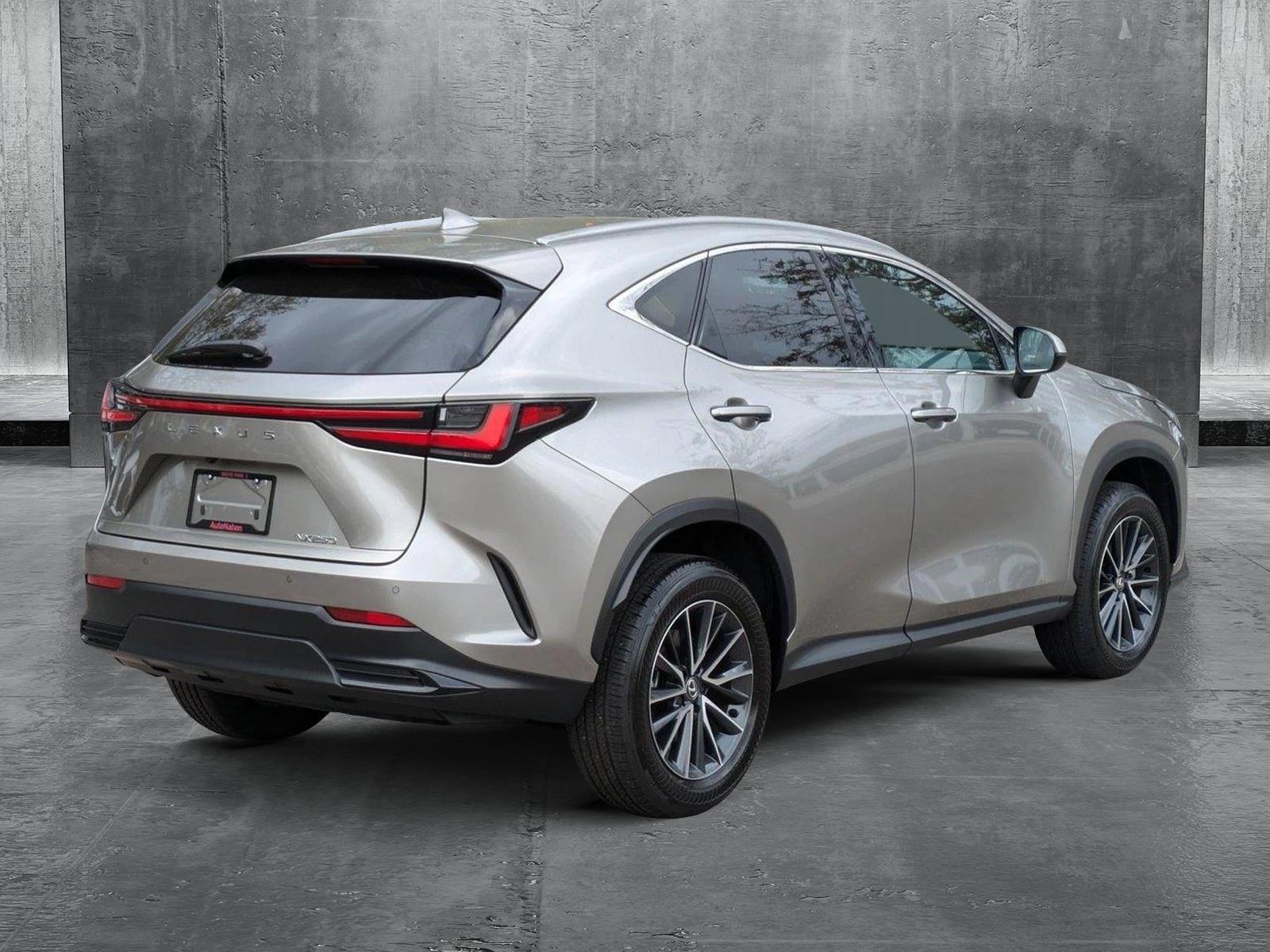 2024 Lexus NX 250 Vehicle Photo in Tampa, FL 33614