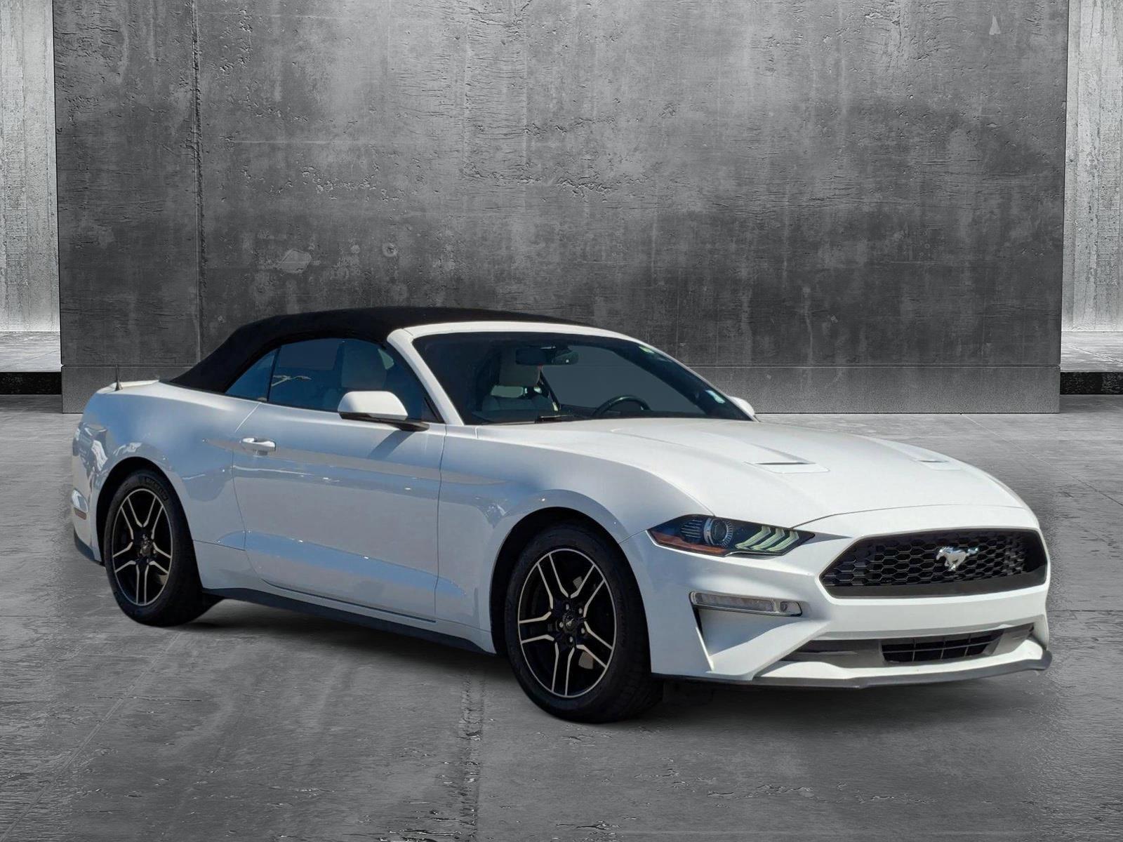 2019 Ford Mustang Vehicle Photo in St. Petersburg, FL 33713