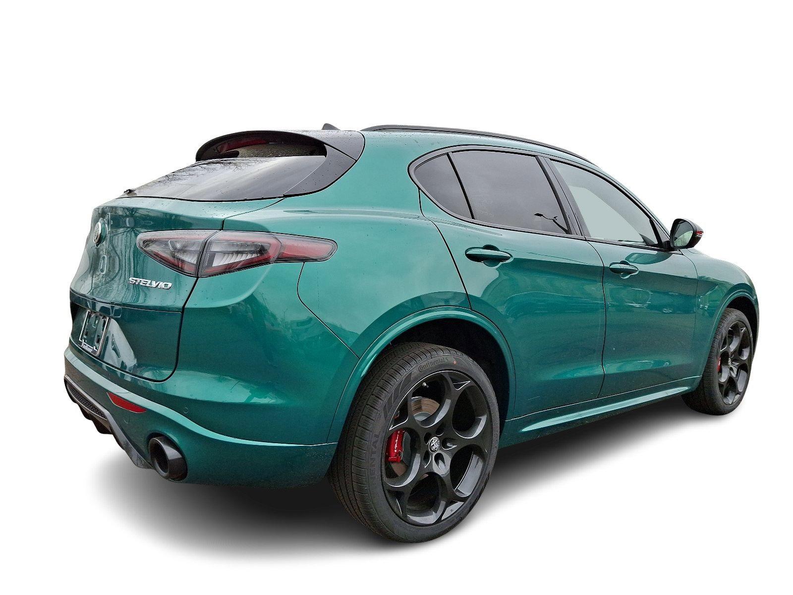 2025 Alfa Romeo Stelvio Vehicle Photo in Willow Grove, PA 19090