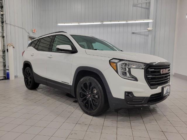 2022 GMC Terrain Vehicle Photo in MANITOWOC, WI 54220-5838