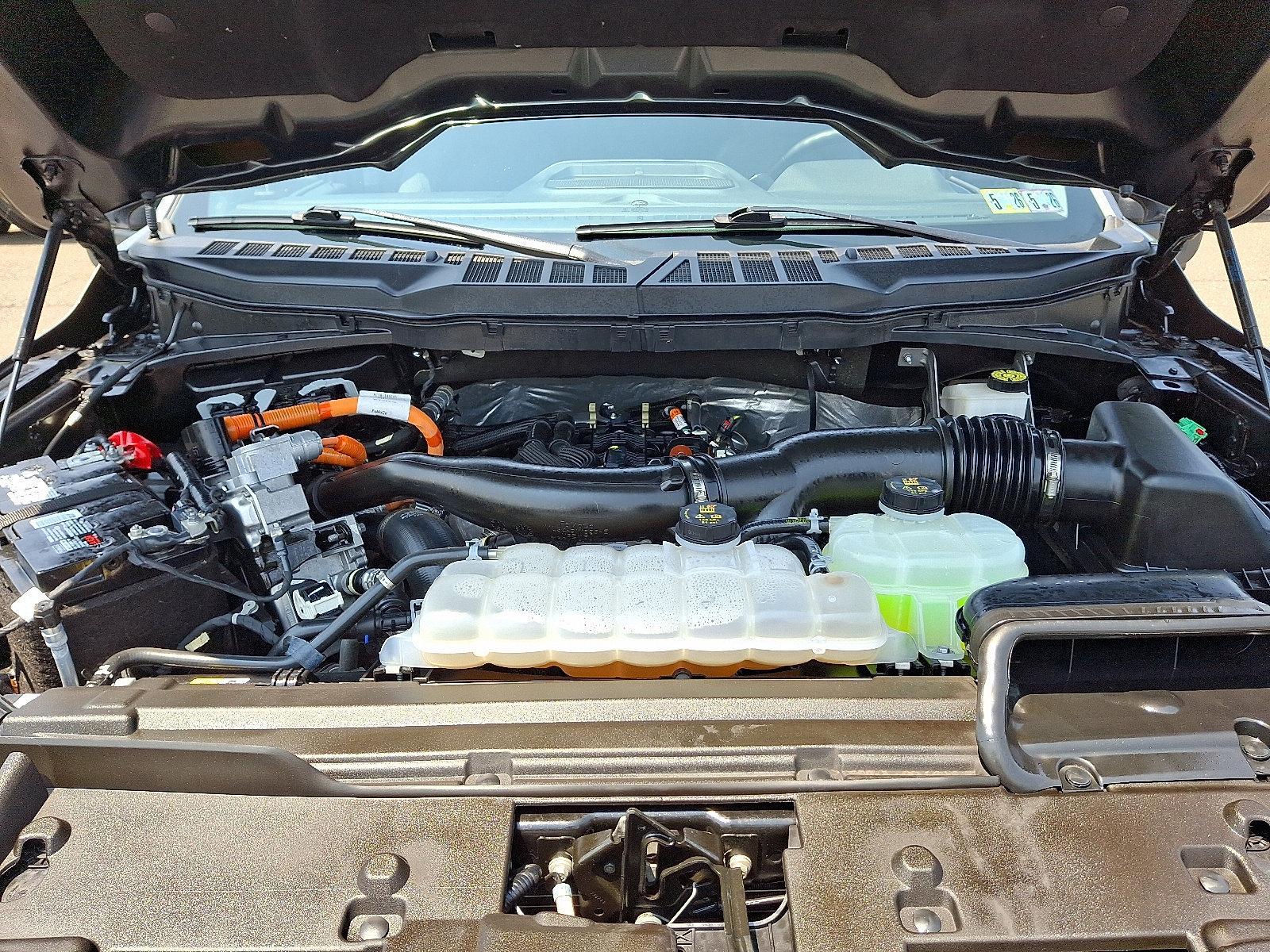 2024 Ford F-150 Vehicle Photo in Trevose, PA 19053