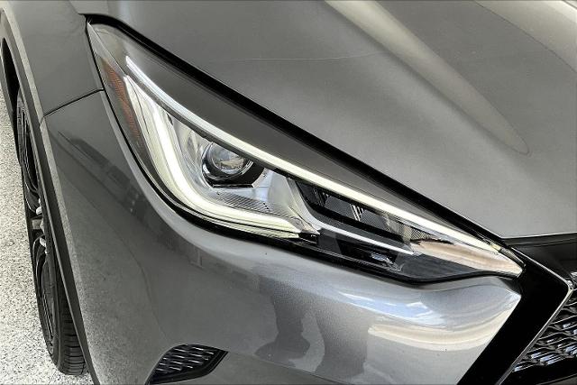 2022 INFINITI QX50 Vehicle Photo in Grapevine, TX 76051