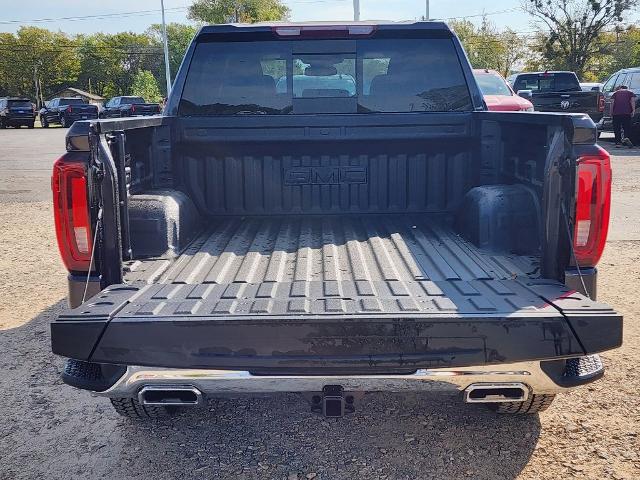 2025 GMC Sierra 1500 Vehicle Photo in PARIS, TX 75460-2116