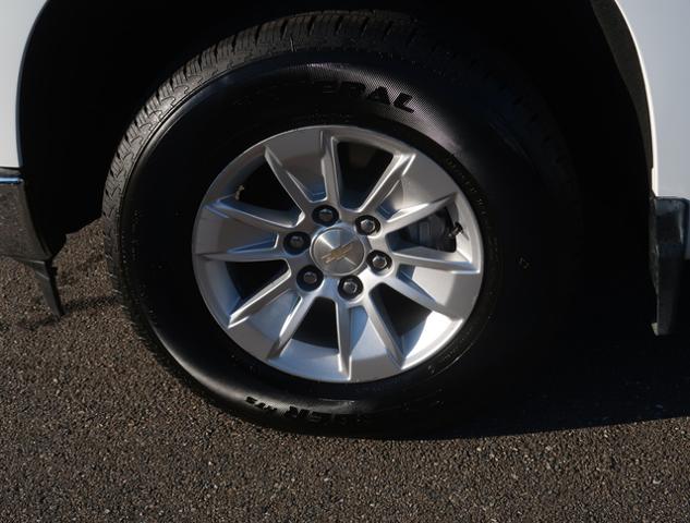 2023 Chevrolet Silverado 1500 Vehicle Photo in JASPER, GA 30143-8655