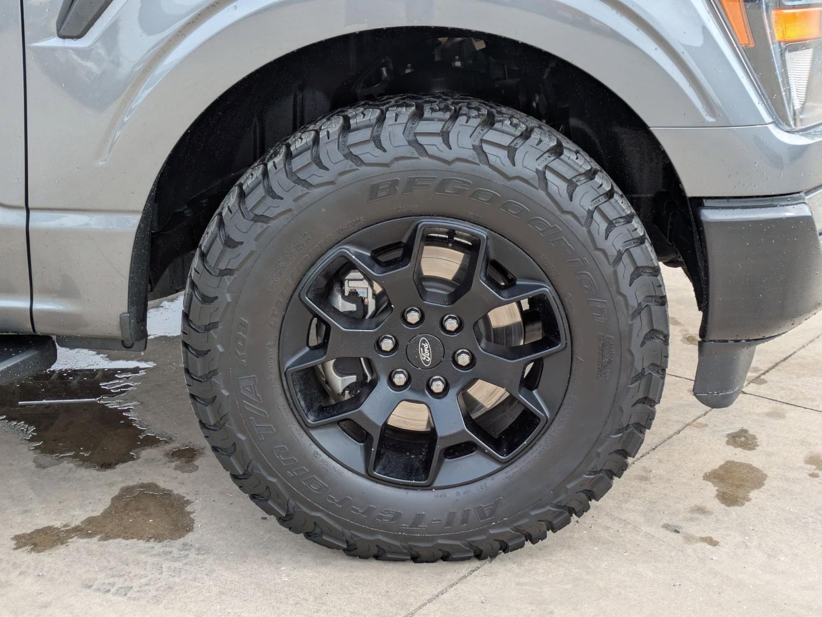 2023 Ford F-150 Vehicle Photo in SELMA, TX 78154-1460